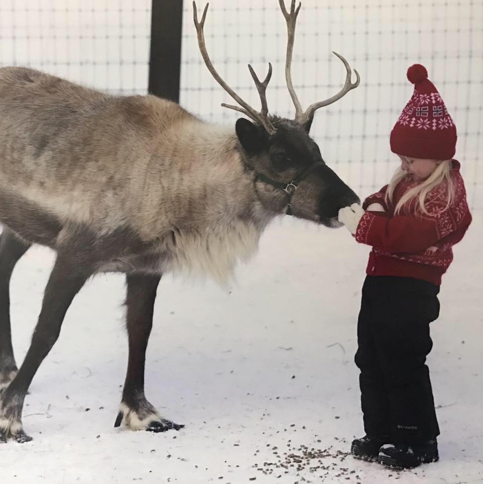 Leavenworth Reindeer Farm