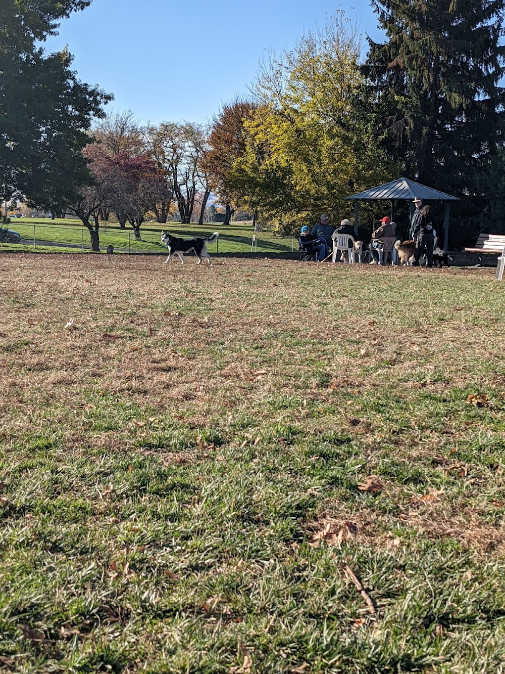 Fort Walla Walla Dog Park