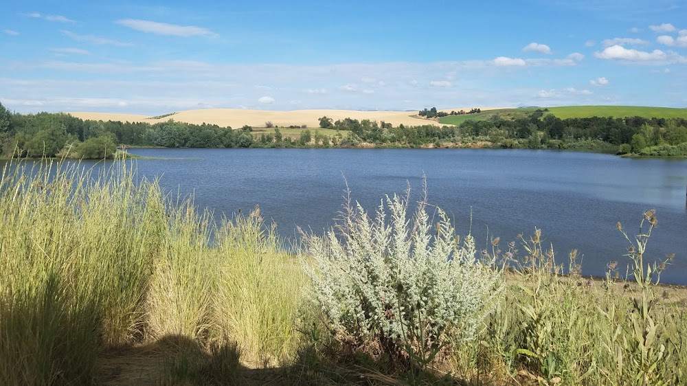 Rooks Park (WA) Bennington Lake