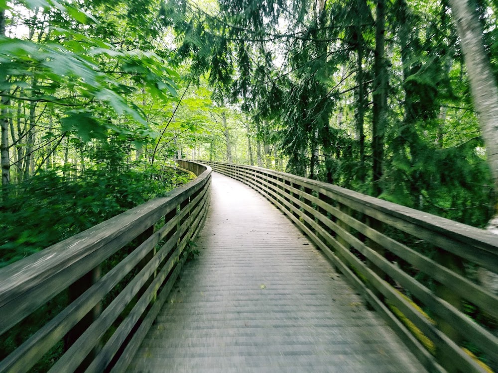 Discovery Trail Trestle Bridge Trailhead