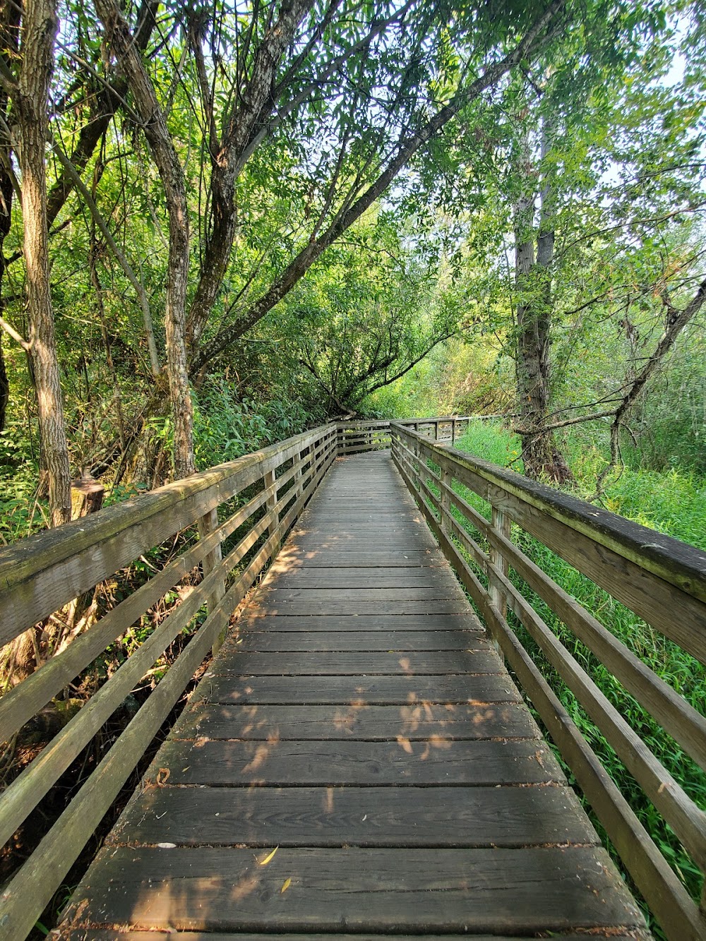 Juanita Bay Park