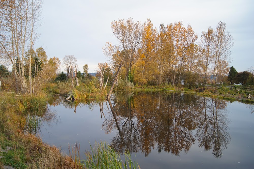 Warren G. Magnuson Park