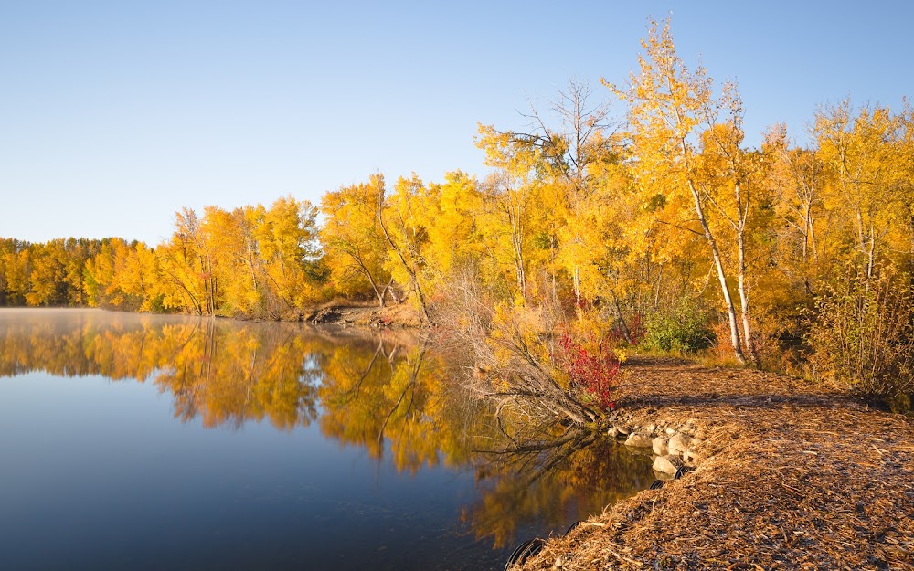 Irene Rinehart Riverfront Park