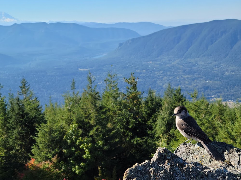 Mt. Si Trailhead