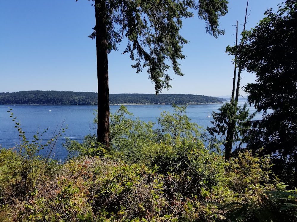 Vashon Viewpoint