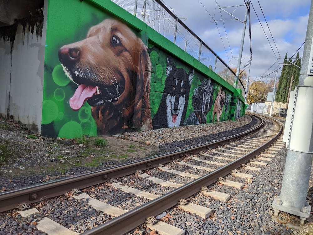 Truitt Bark Park