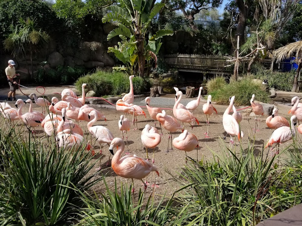 Santa Barbara Zoo