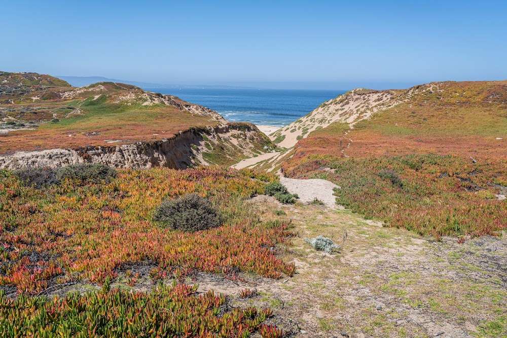 Fort Ord Dunes State Park