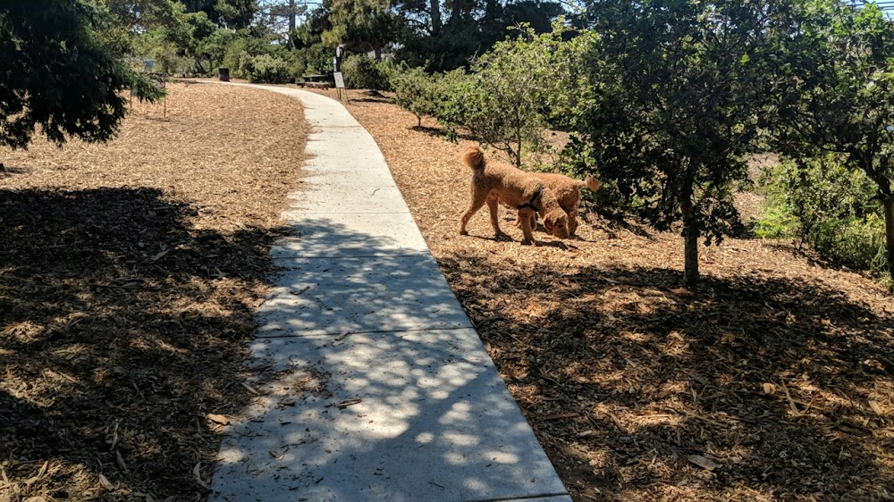 Pacchetti Dog Park