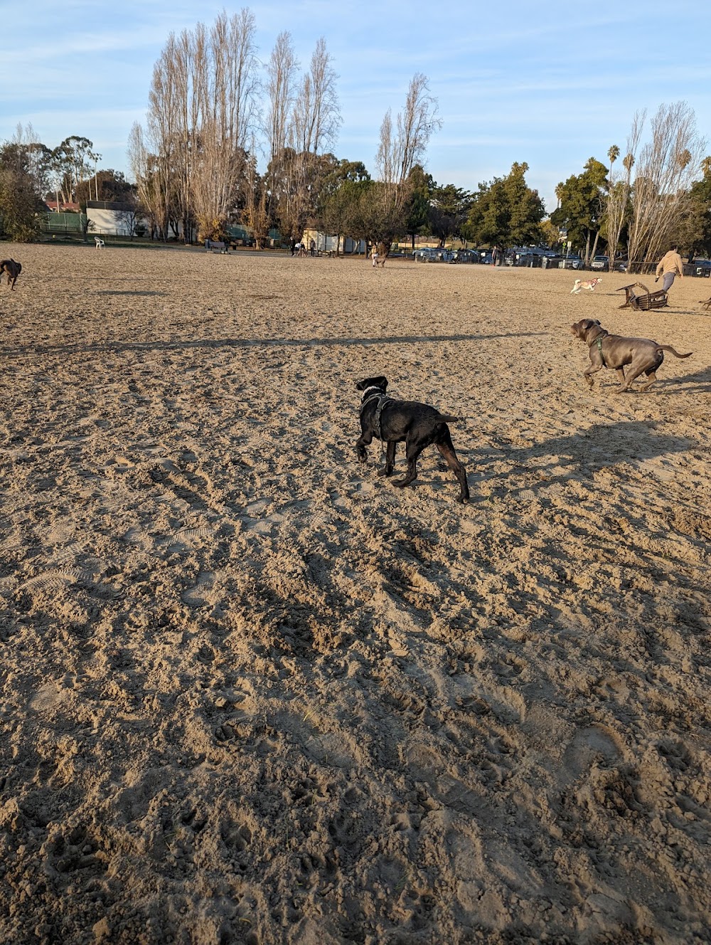 Alameda Dog Park