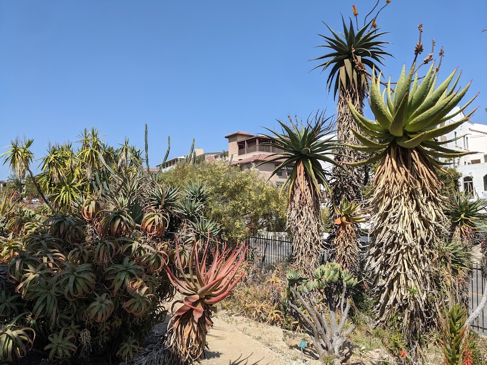 UCLA Mildred E. Mathias Botanical Garden