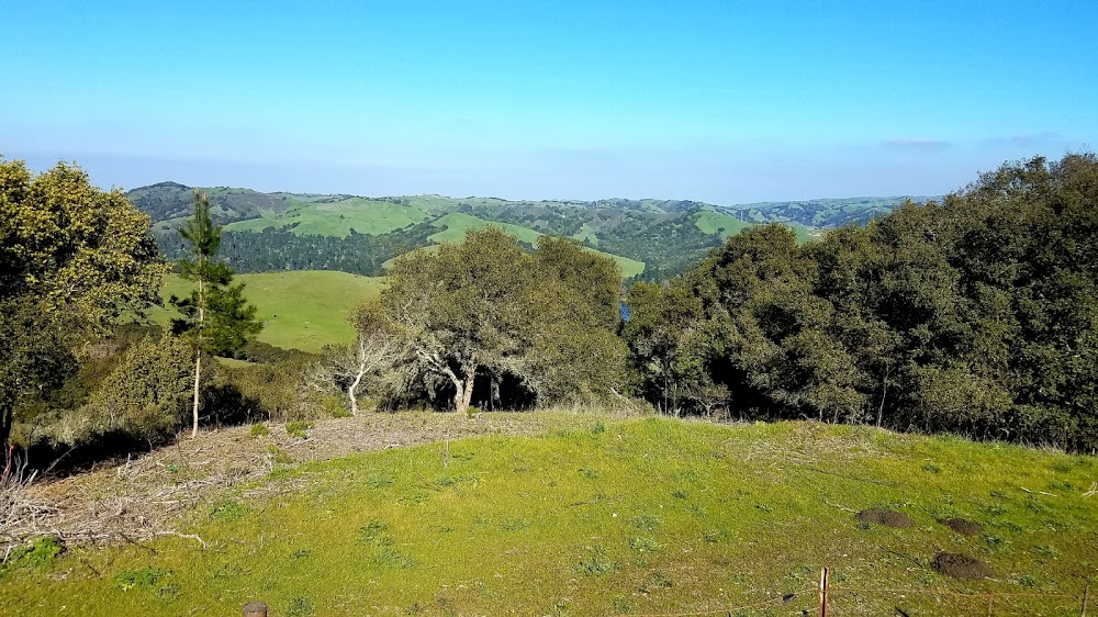 Tilden Regional Park