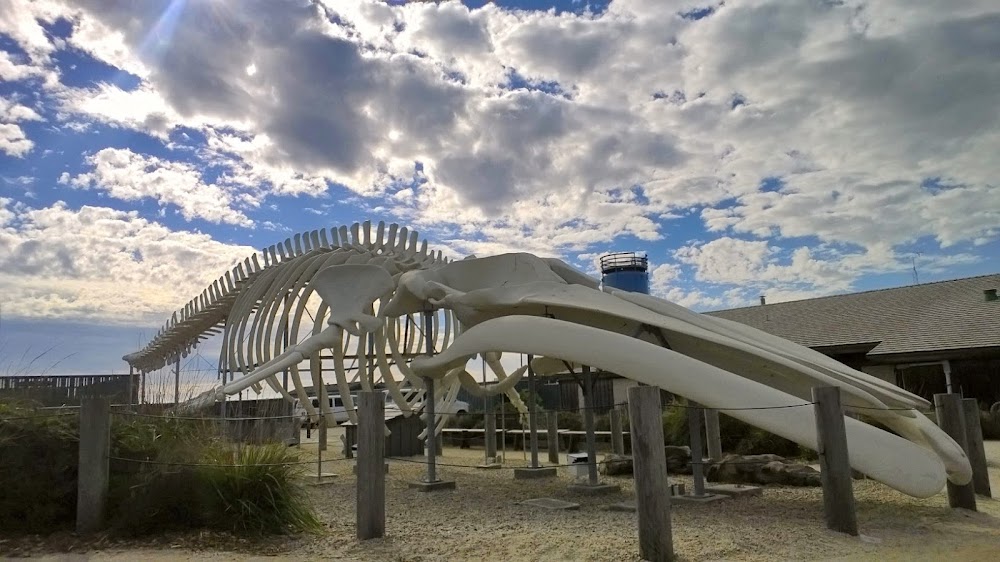 Seymour Marine Discovery Center