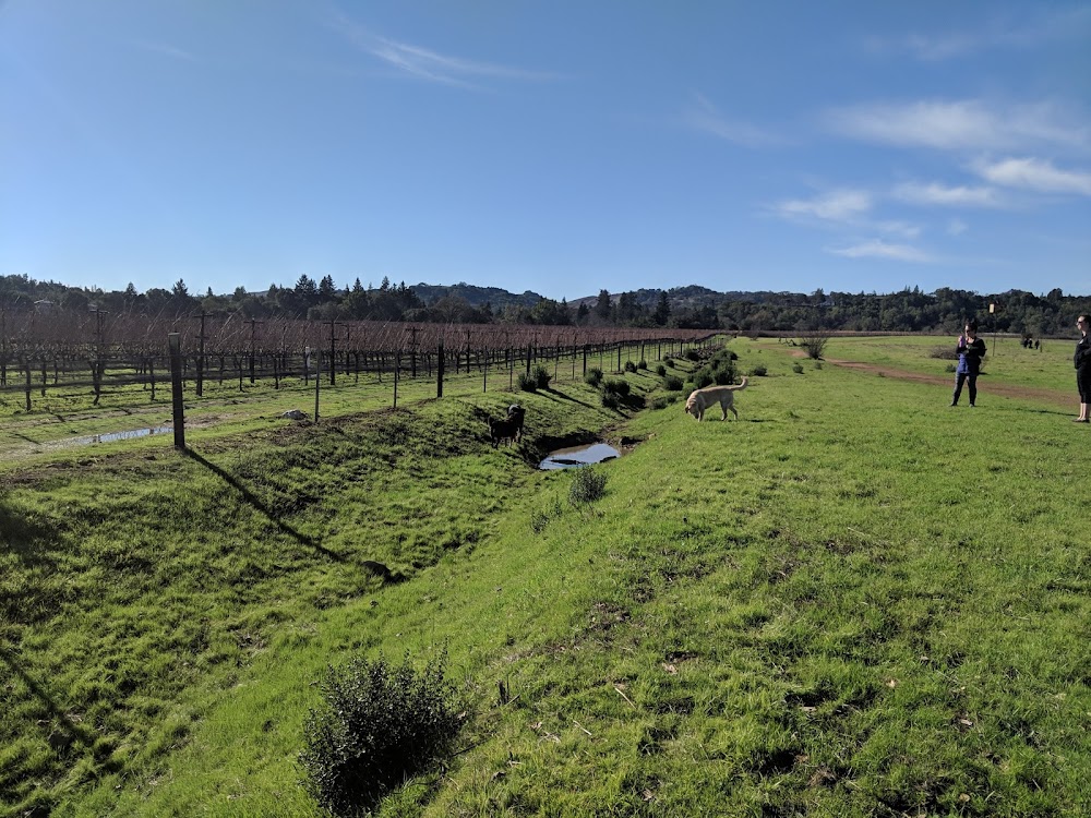 Alston Park Off-Leash Dog Area