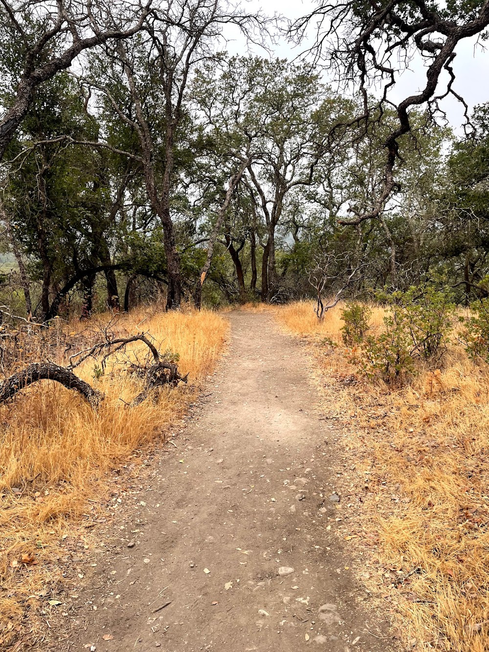 Sonoma Valley Regional Park