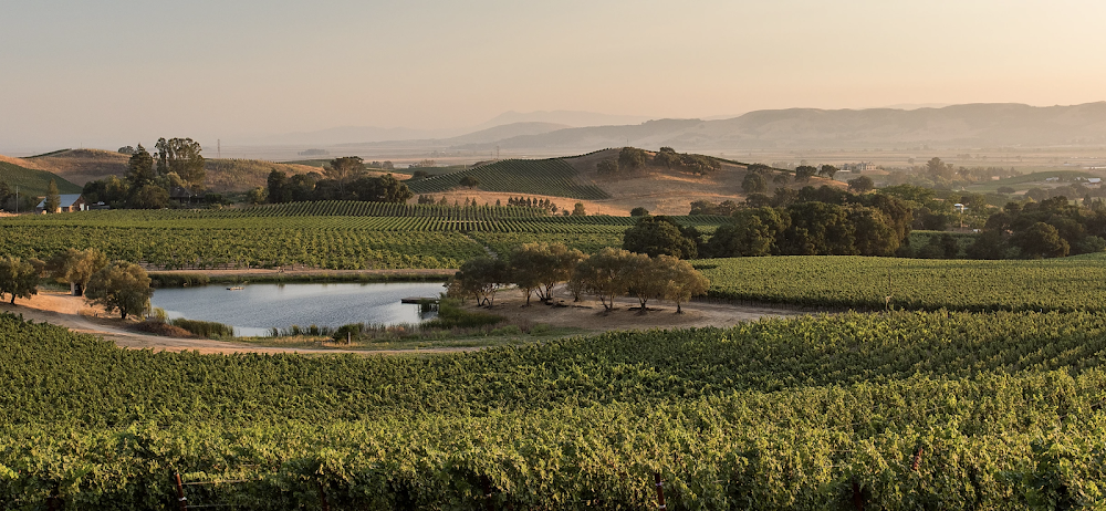 Gundlach Bundschu Winery