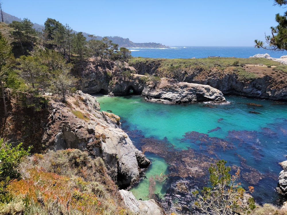 Point Lobos State Natural Reserve