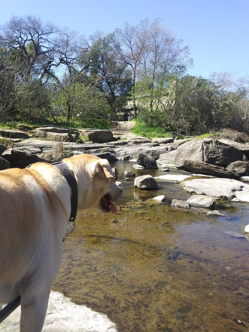 4th & Farmers Creek Trail