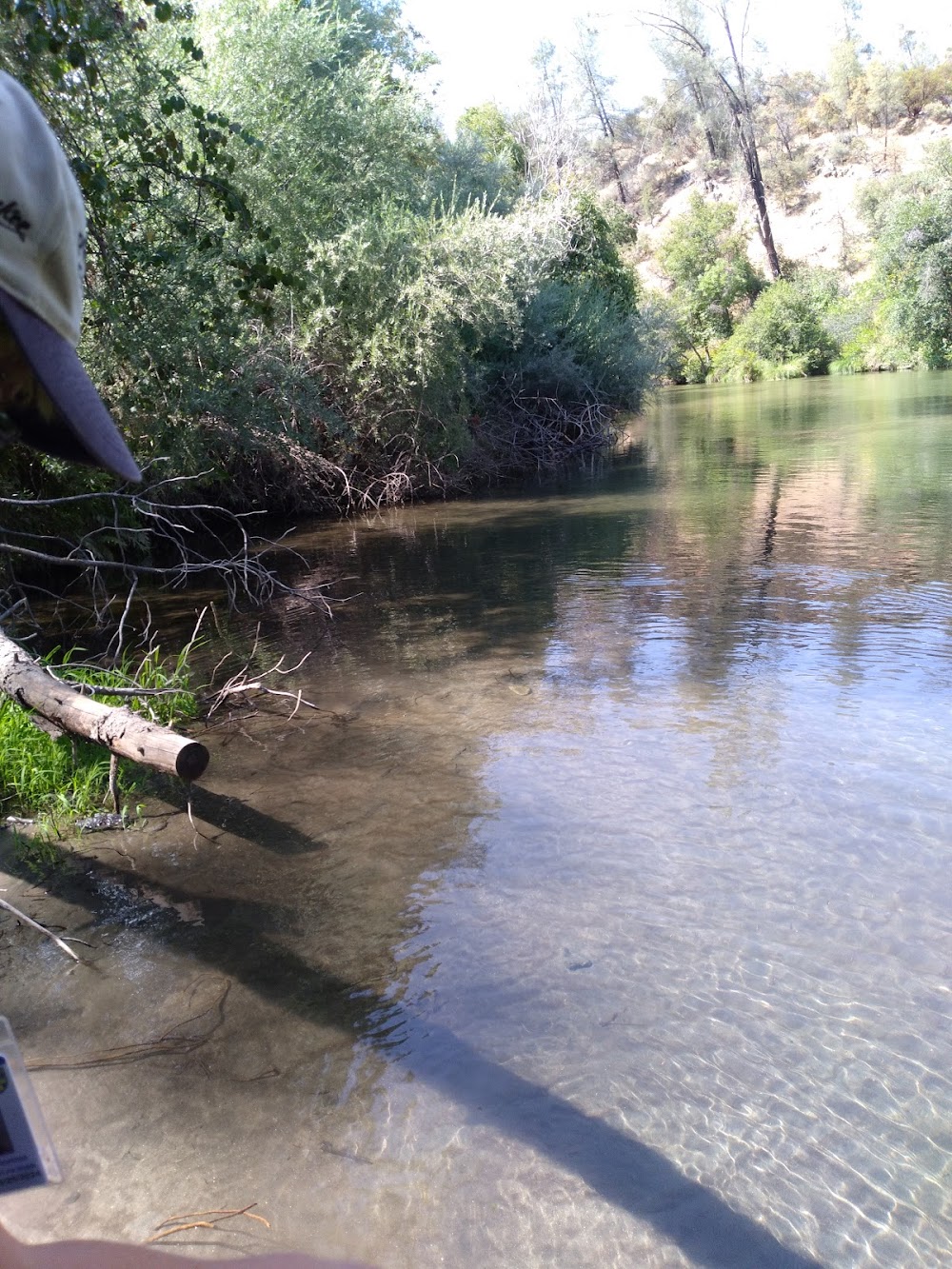 Horsetown-Clear Creek Preserve