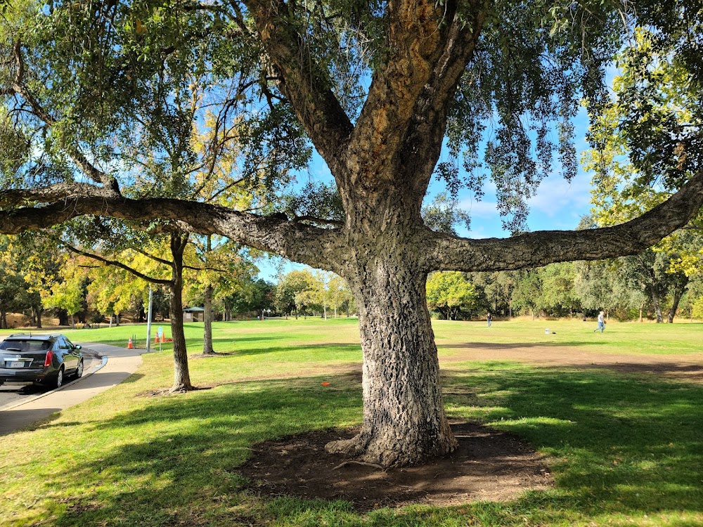 East La Loma Park