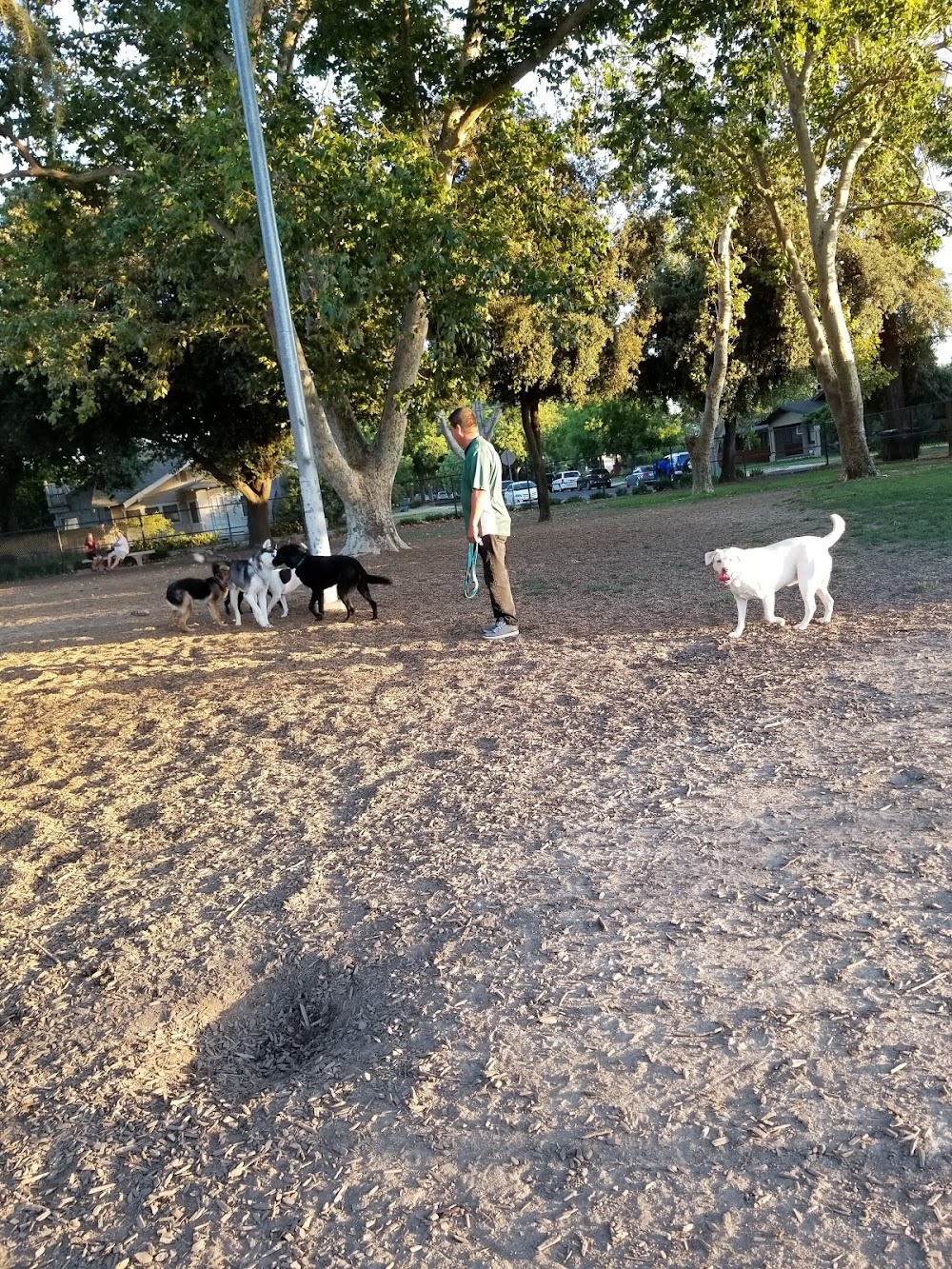 Elk Park / Modesto Dog Park