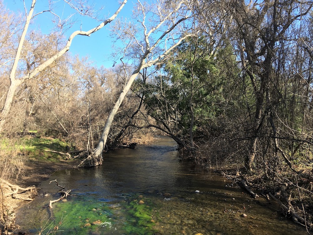 Lower Bidwell Park