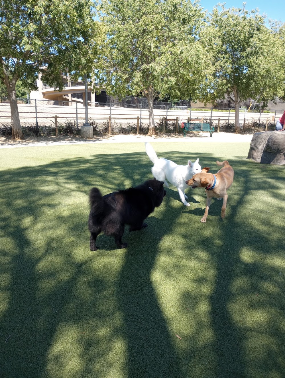 Reed Street Dog Park