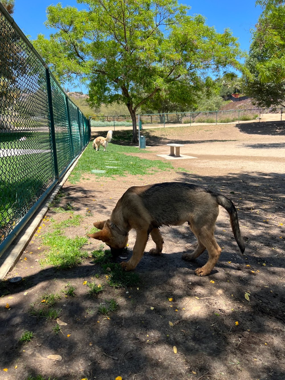 Montiel Park