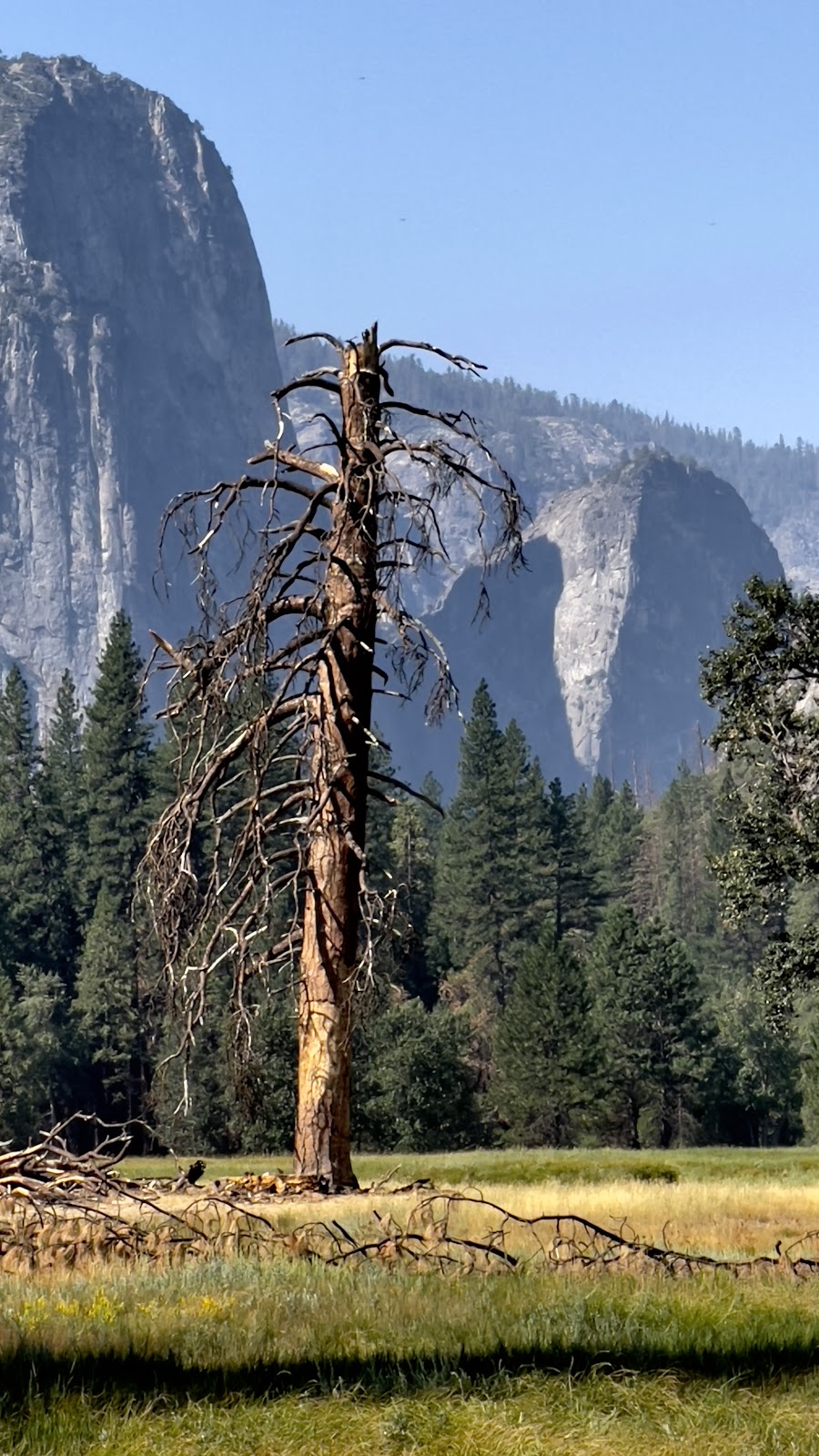 Yosemite Falls Trailhead