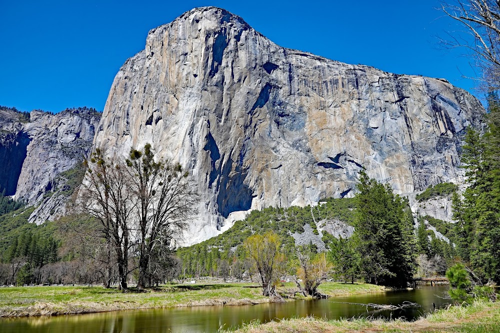 El Capitan Meadow