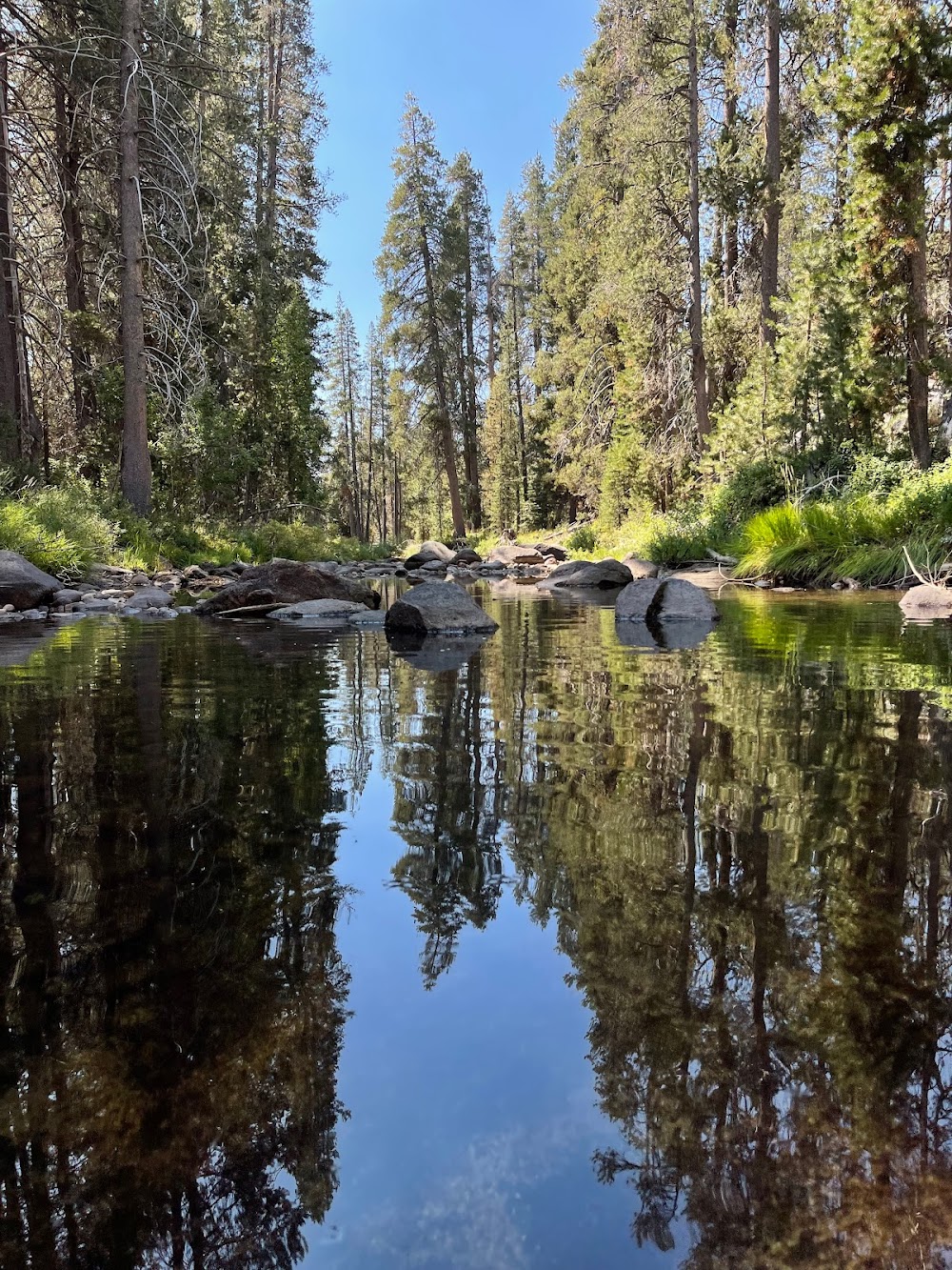 Yosemite Creek Campground