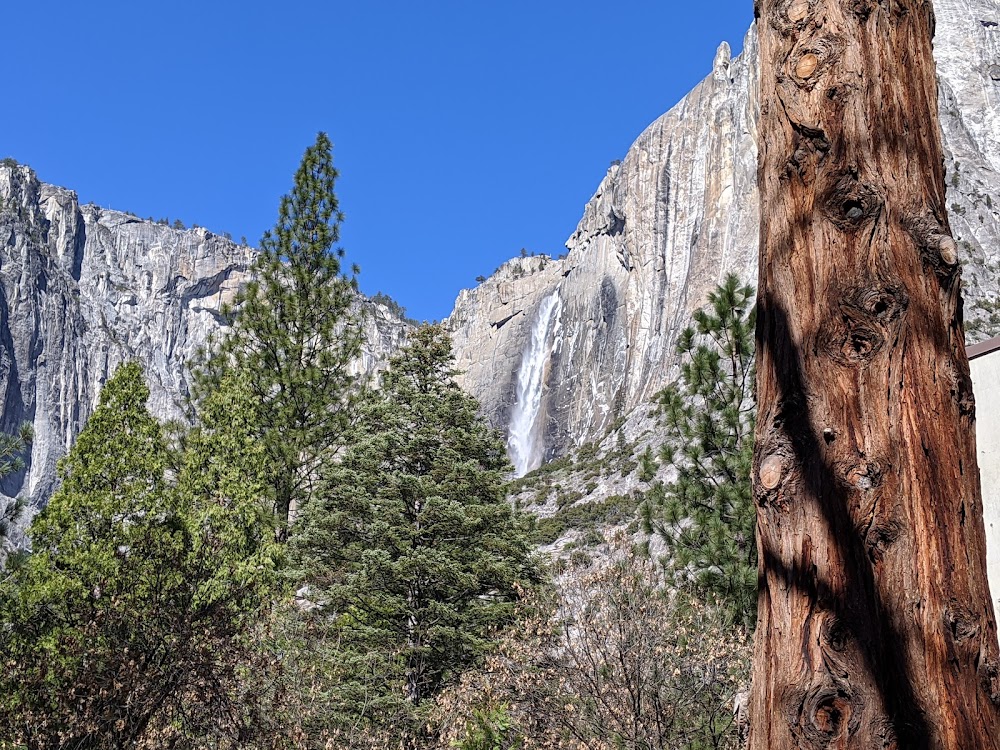 Yosemite Visitor Center