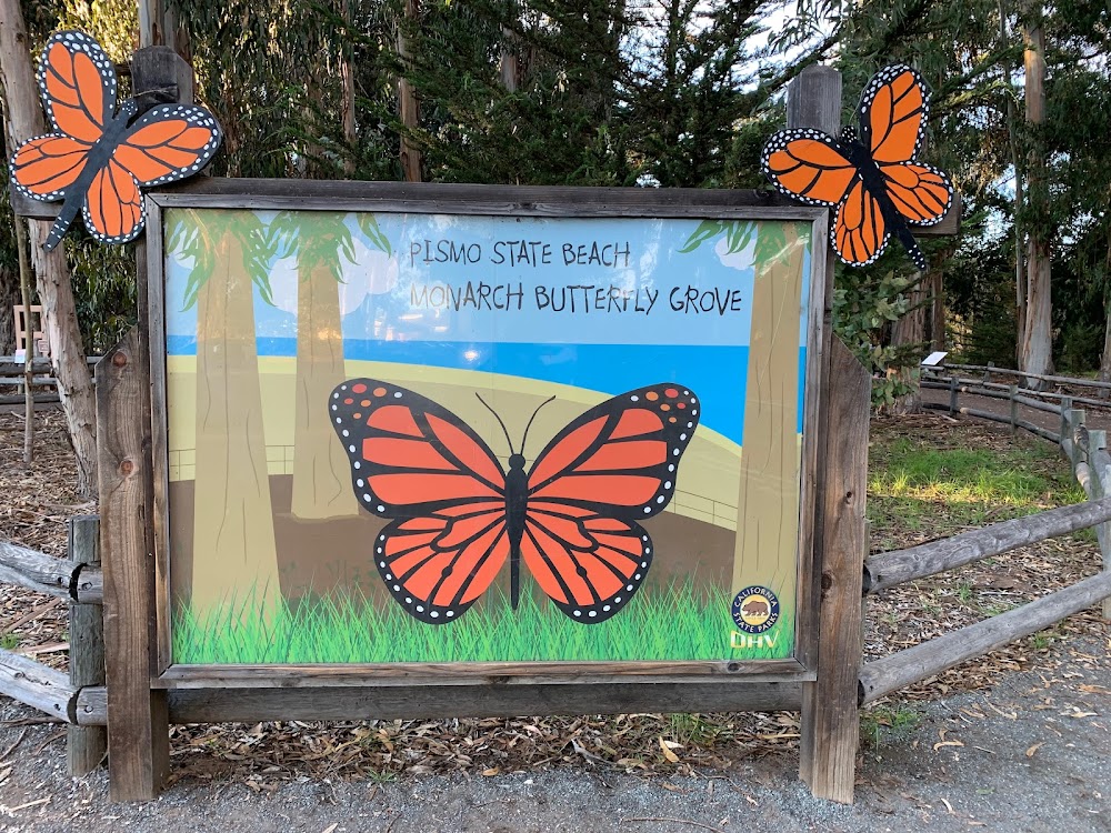 Monarch Butterfly Grove