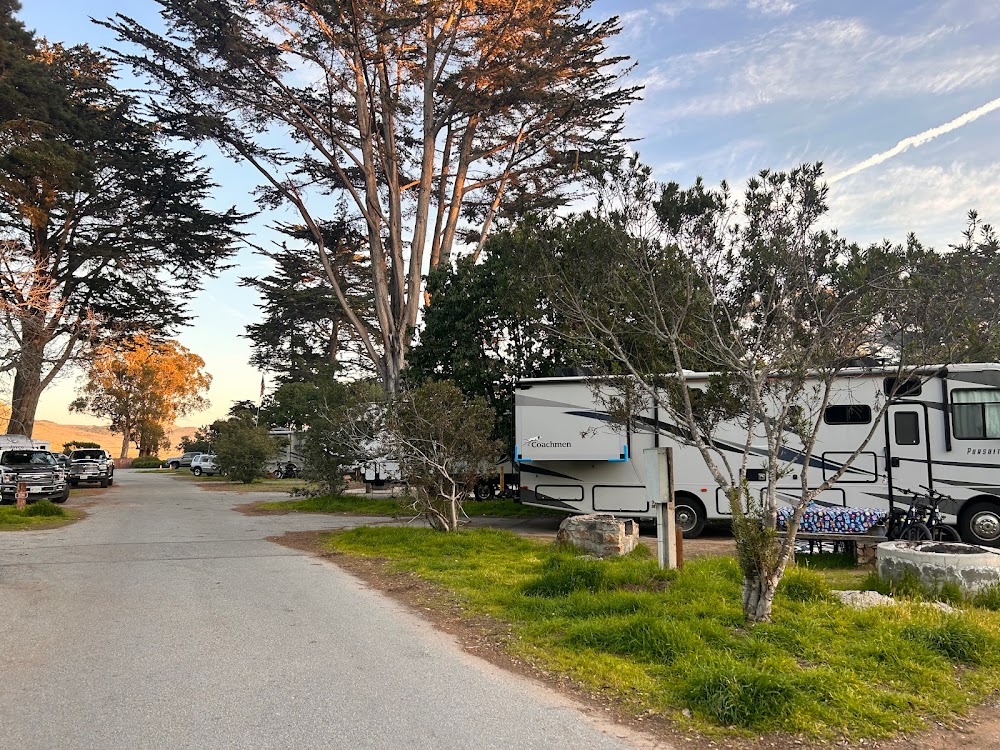 Morro Bay State Park Campground