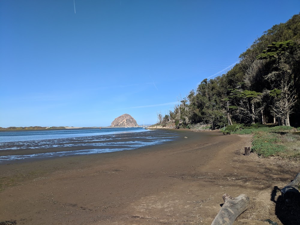 Morro Bay State Park