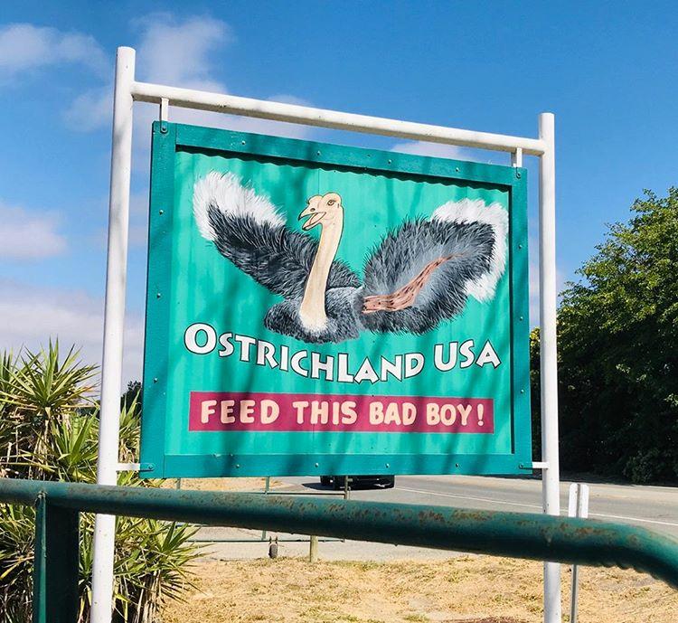 Ostrichland USA