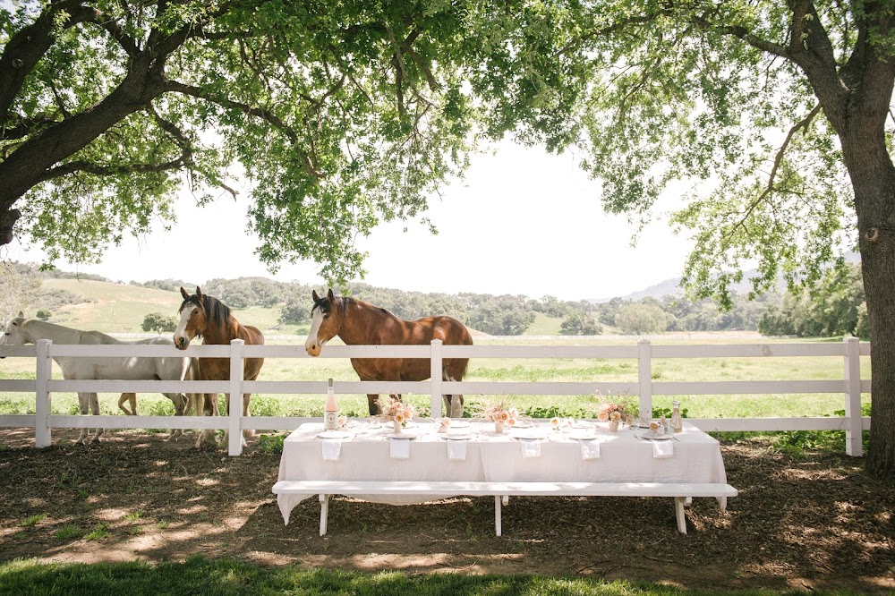 Folded Hills - Winery Ranch Farmstead