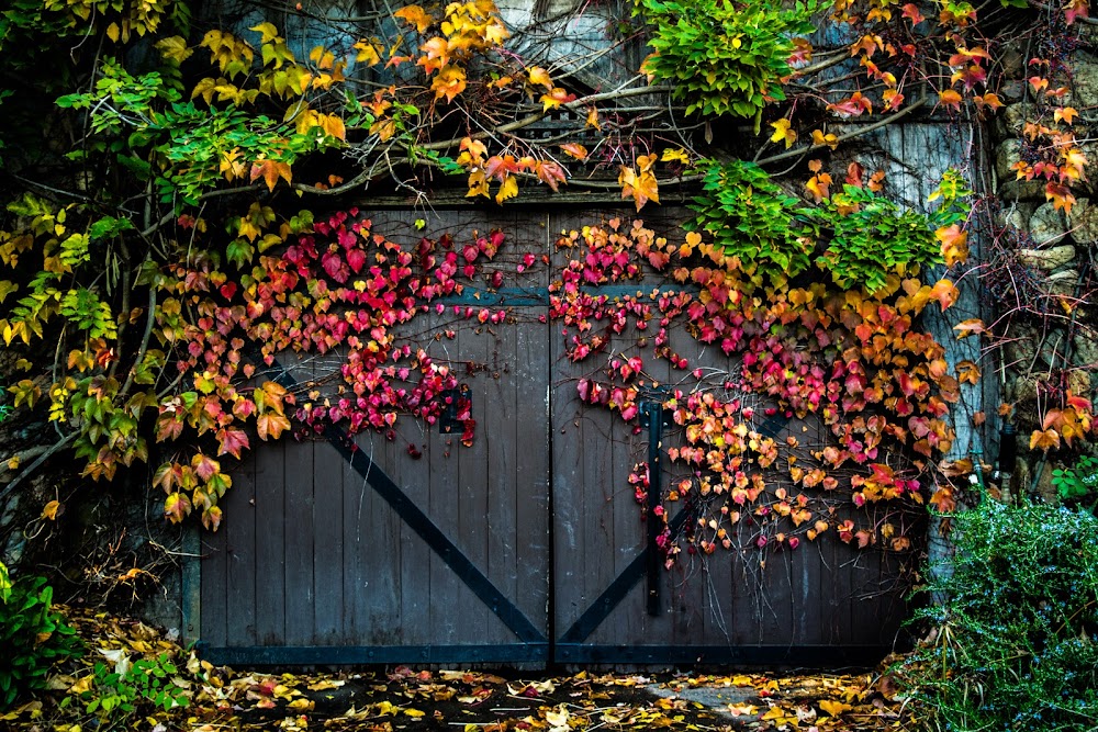 Hans Fahden Vineyards