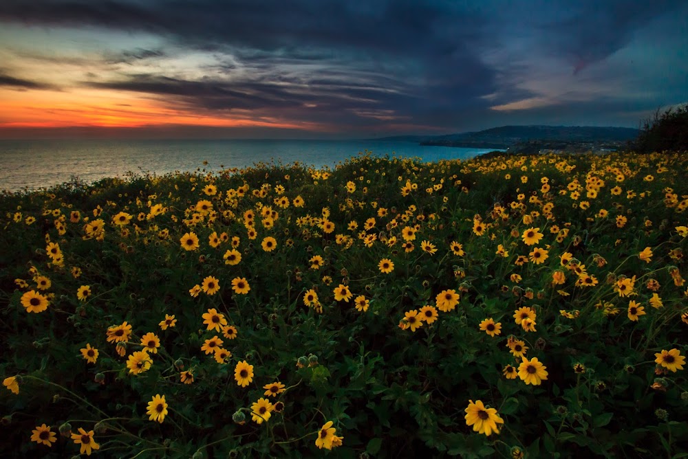 Dana Point Headlands Conservation Area