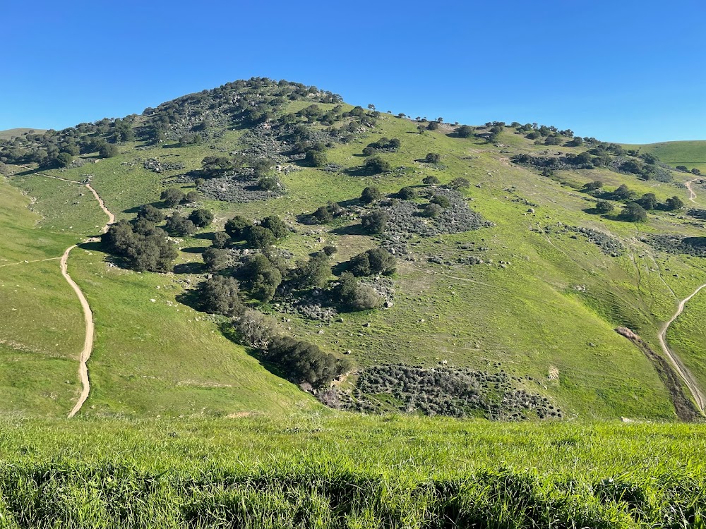 Brushy Peak Regional Preserve