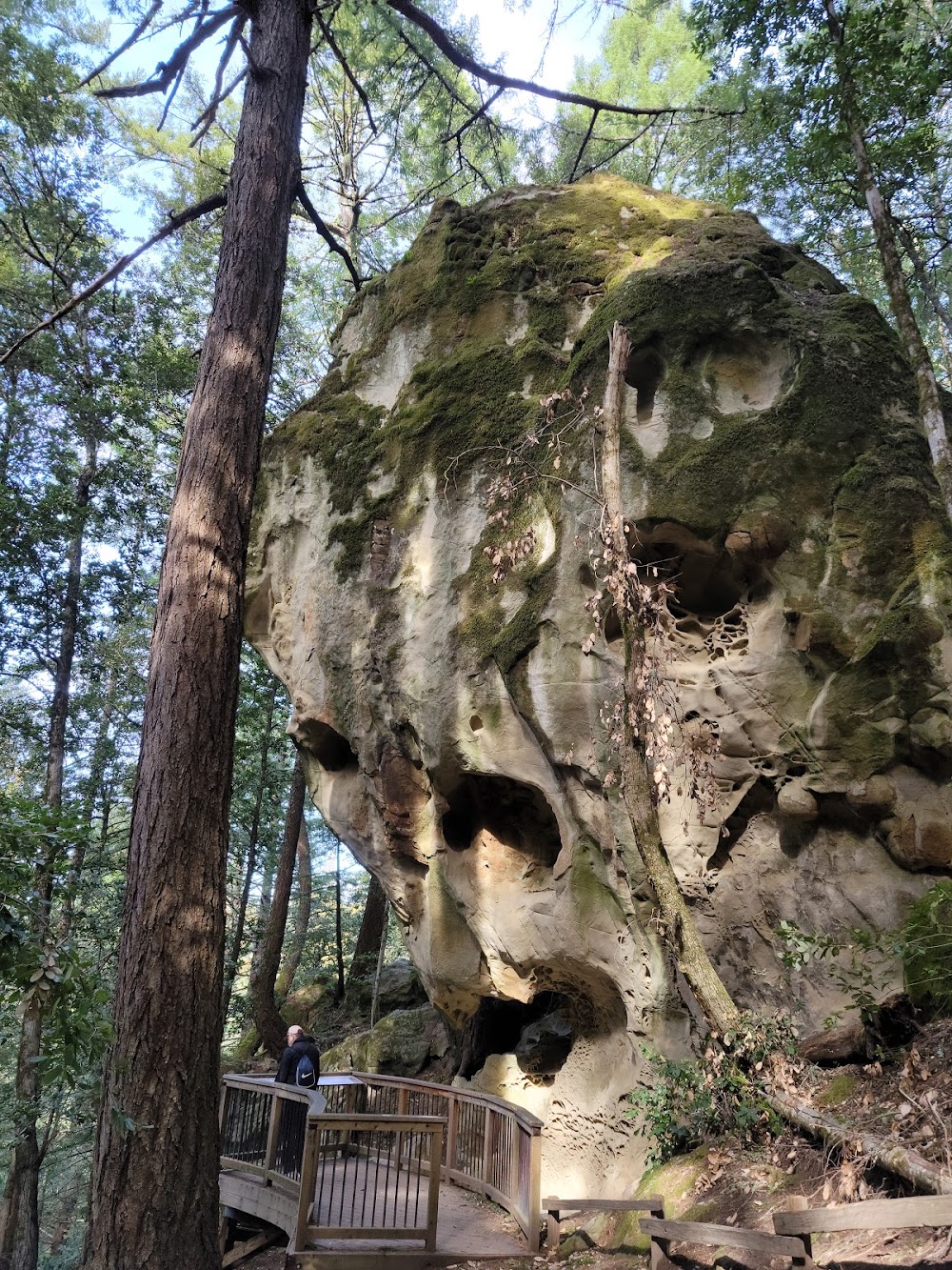 El Corte de Madera Creek Preserve