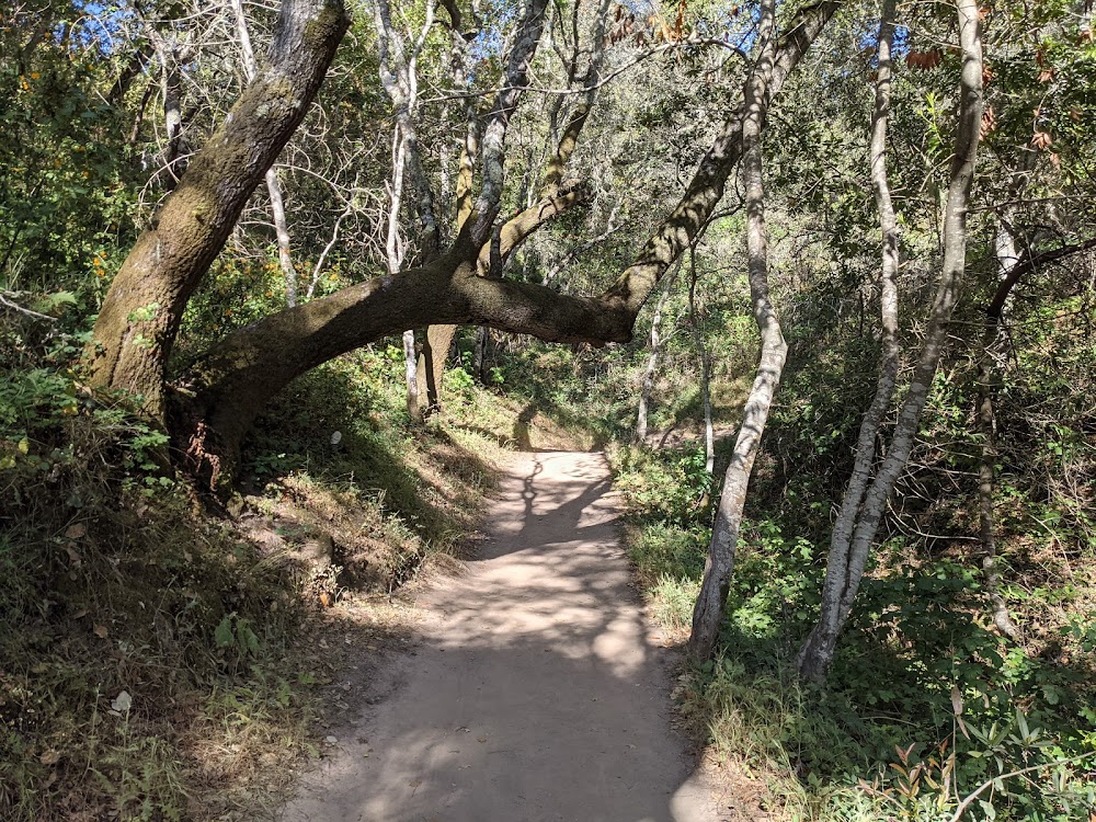 Pulgas Ridge Open Space Preserve