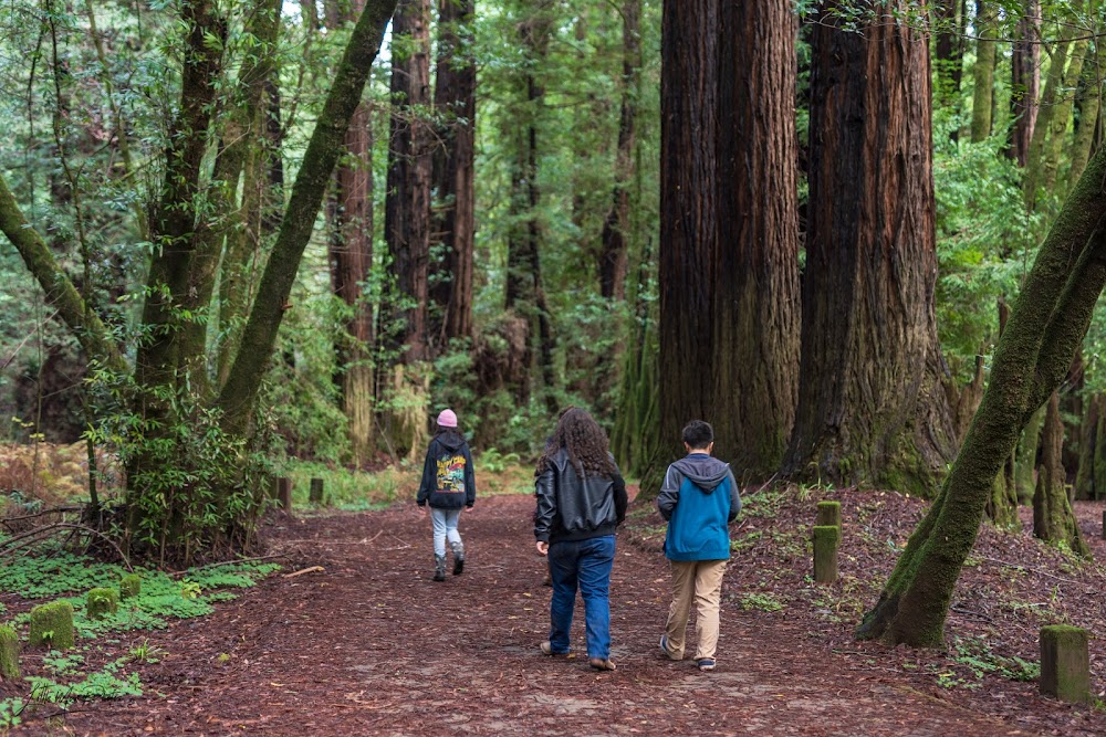 Navarro River Redwoods State Park