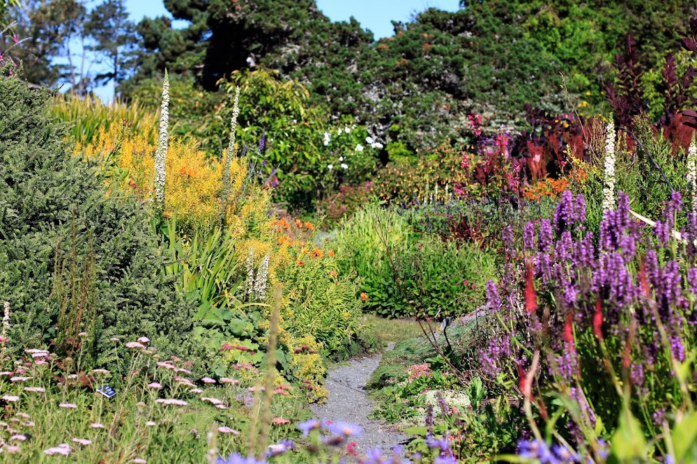 Mendocino Coast Botanical Gardens