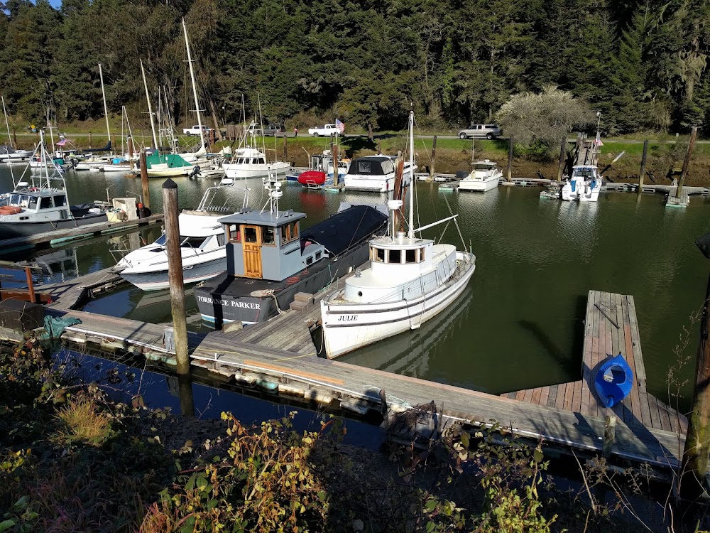 Dolphin Isle Marina and RV Park