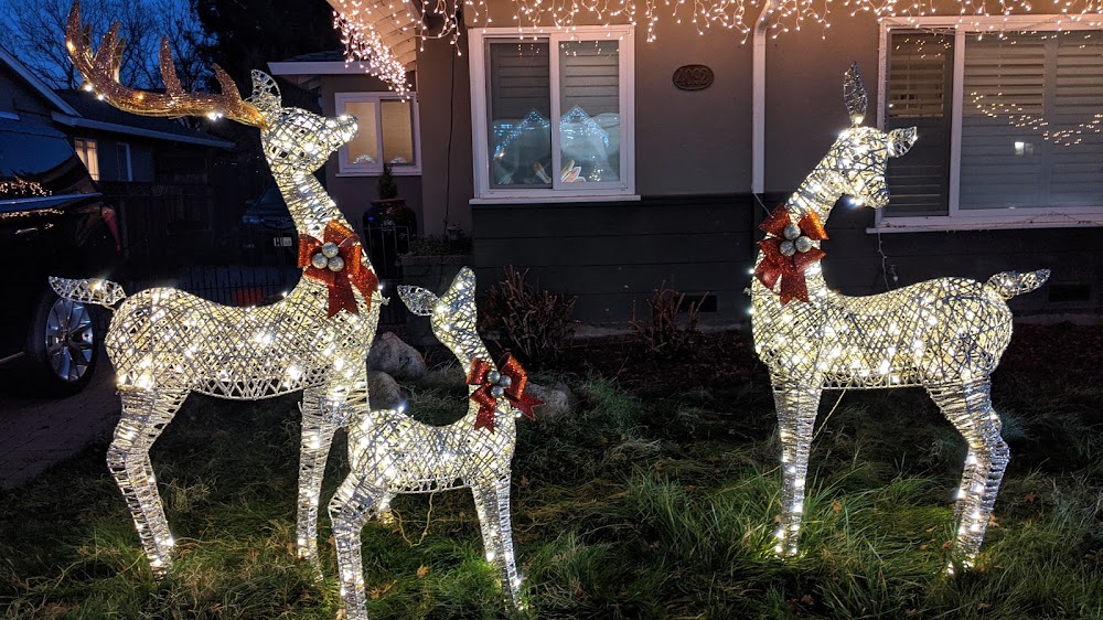 Candy Cane Lane Transit Station