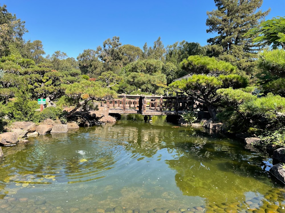 Hayward Japanese Gardens