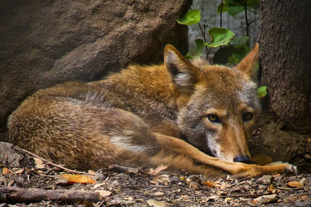 Sulphur Creek Nature Center