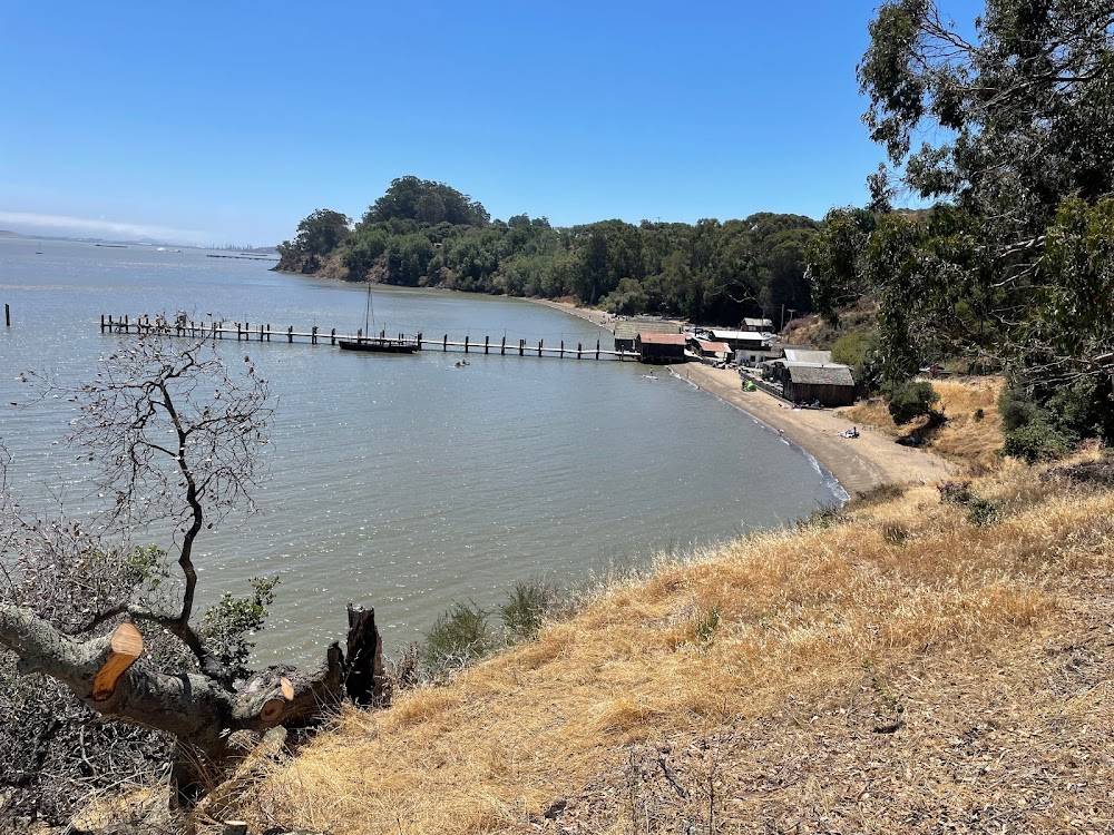 China Camp Beach