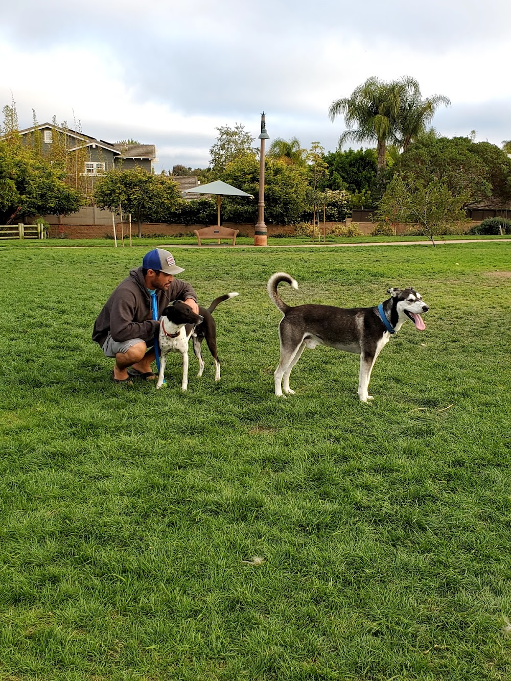 Encinitas Dog Park